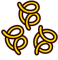 VARIETY SPAGHETTI